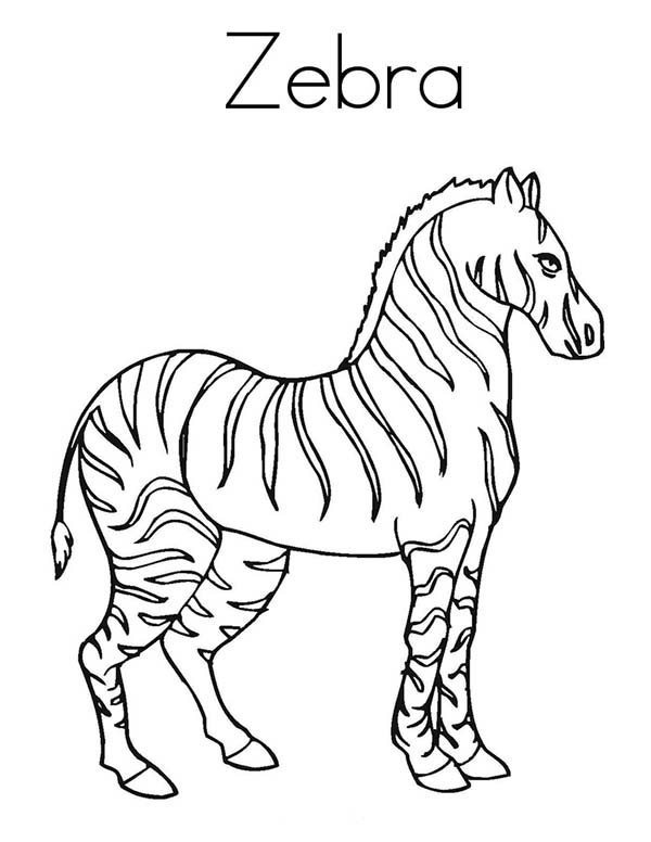 Malvorlage: Zebra (Tiere) #13096 - Kostenlose Malvorlagen zum Ausdrucken