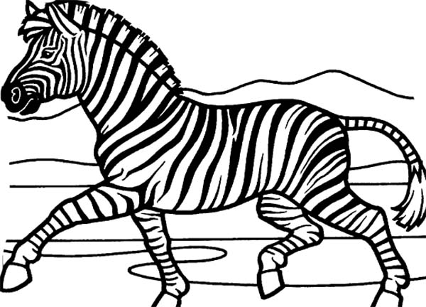 Malvorlage: Zebra (Tiere) #13120 - Kostenlose Malvorlagen zum Ausdrucken