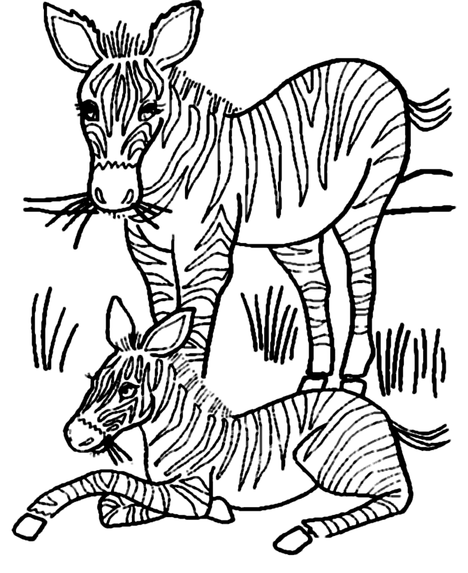 Malvorlage: Zebra (Tiere) #13130 - Kostenlose Malvorlagen zum Ausdrucken