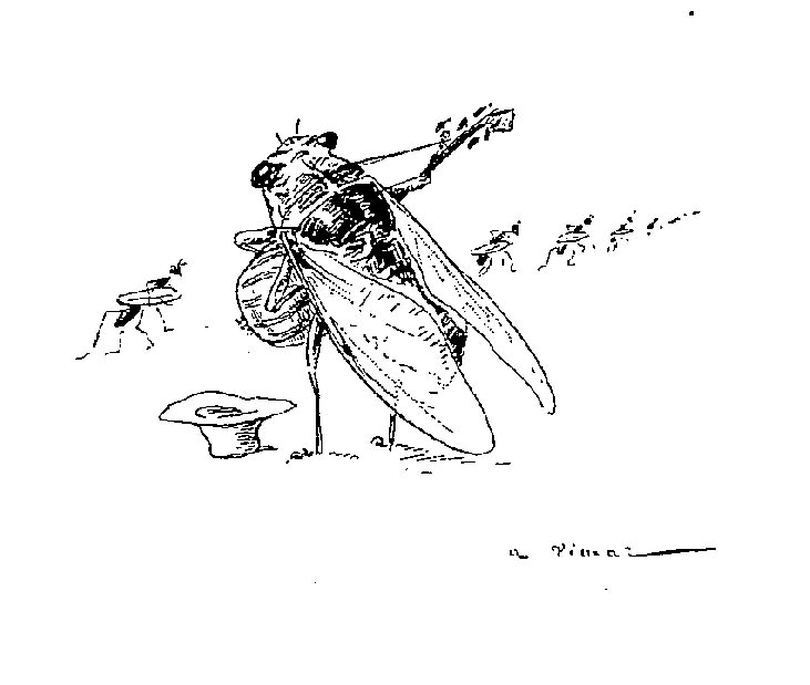 Malvorlage: Zikade (Tiere) #18485 - Kostenlose Malvorlagen zum Ausdrucken